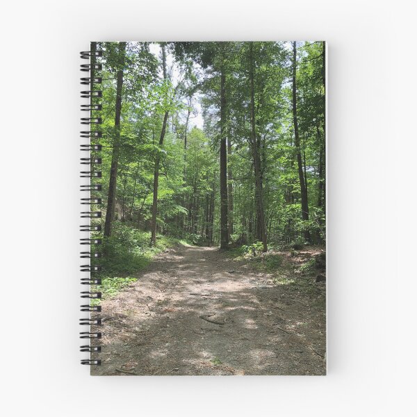 Item preview, Forest Path designed and sold by tryslora.