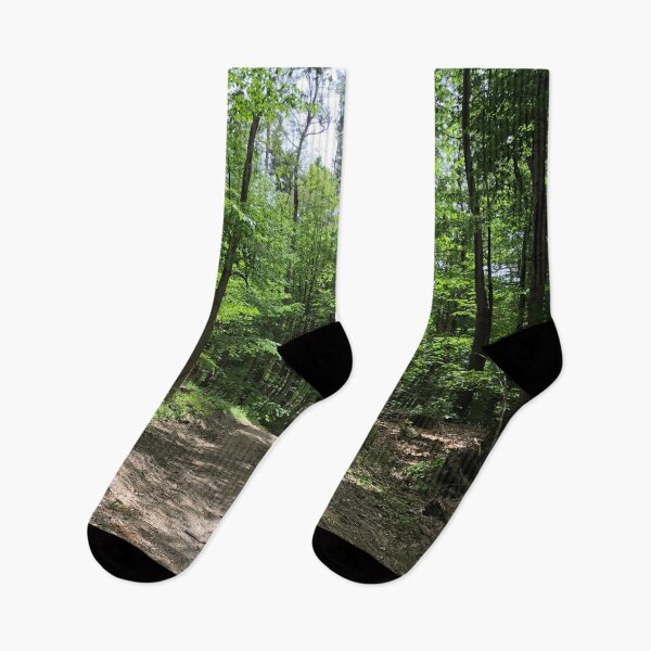 Item preview, Forest Path designed and sold by tryslora.