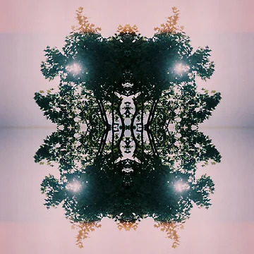 Artwork thumbnail, Pattern Tree by Jaime Magalhaes