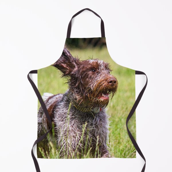 Item preview, Running in a meadow Spinone by heidiannemorris designed and sold by FOLK ART FUSION by heidiannemorris.