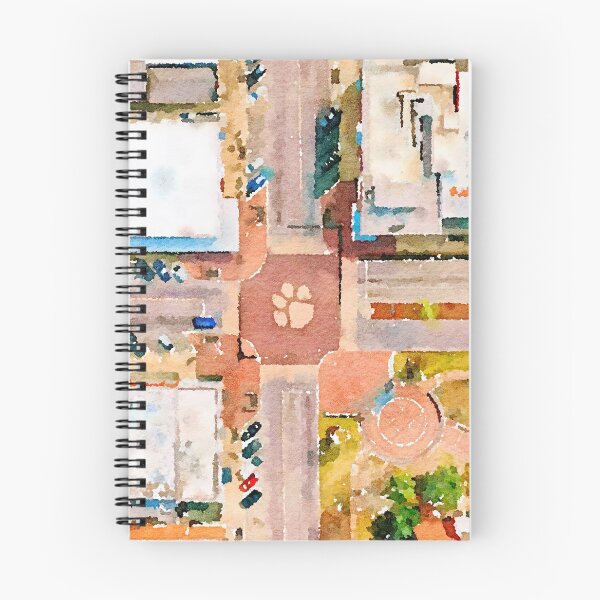 Item preview, Toomer's Corner Aerial Watercolor Puzzle designed and sold by Michael Garber.