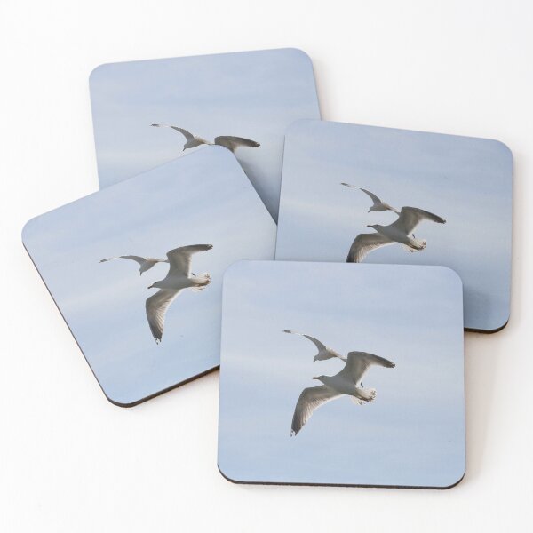 Item preview, Flight designed and sold by XCEEDTRANSITION.