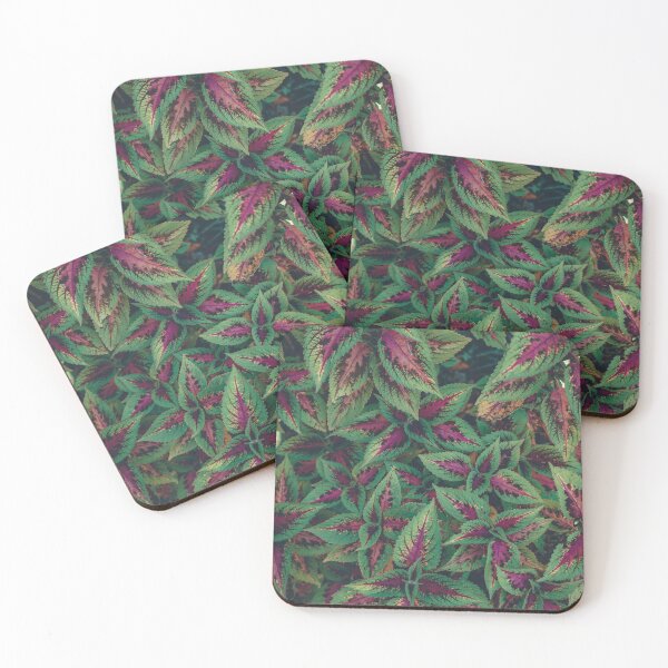 Item preview, Leaf patterns designed and sold by Basic310.