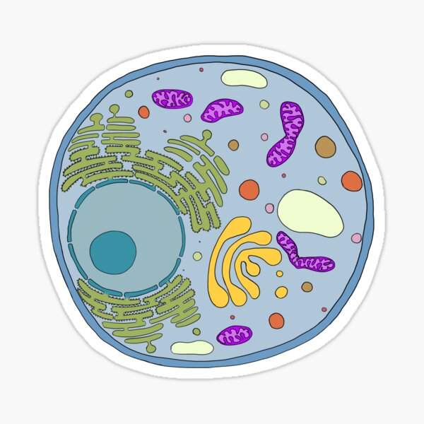 Item preview, Animal cell designed and sold by neurocosadibuja.