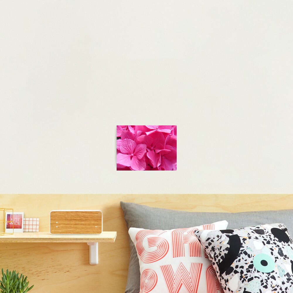 Item preview, Photographic Print designed and sold by Raspberry-Cat.