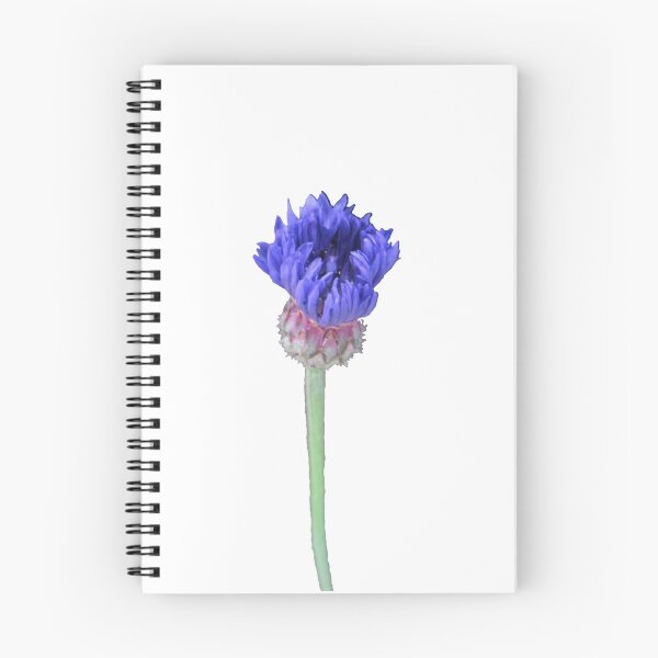 Item preview, Blue cornflower with stem designed and sold by RebelXIII.