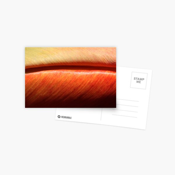 hot meaty velvet Postcard