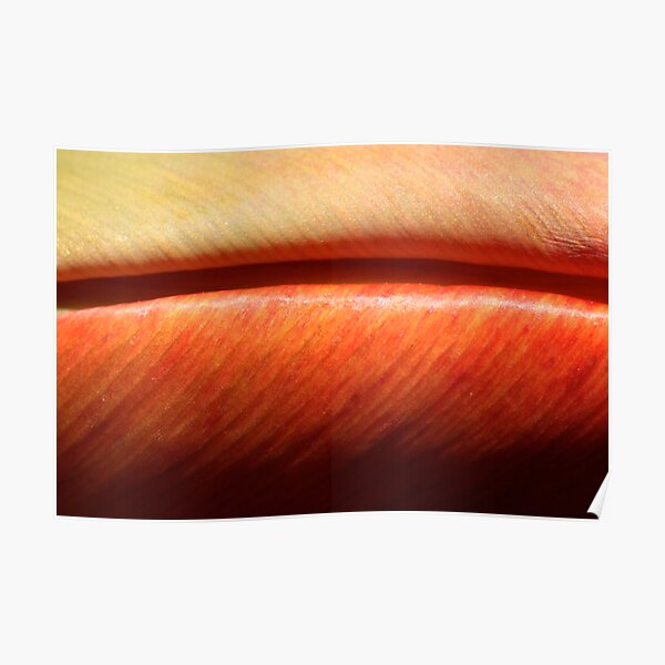 hot meaty velvet Poster