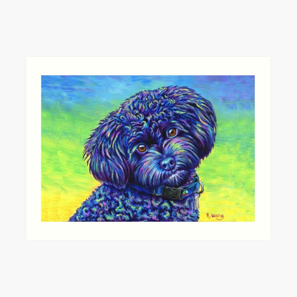Opalescent Black Toy Poodle Art Print