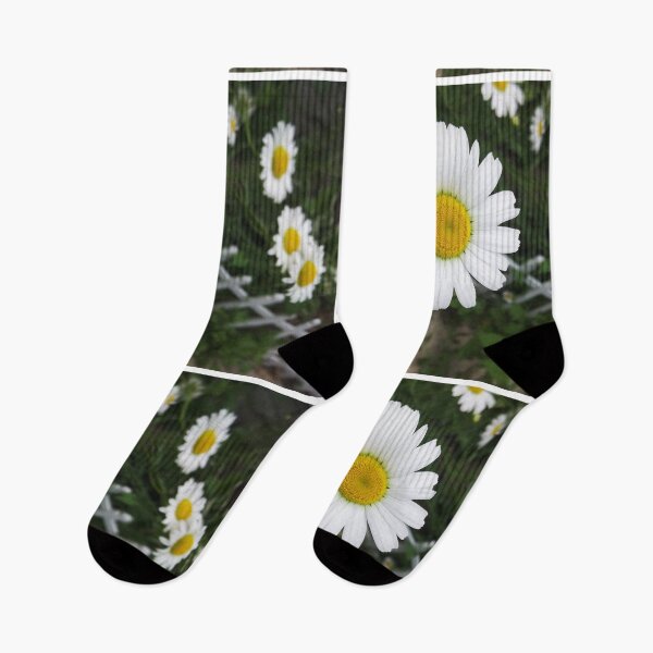 Item preview, Daisy Garden, Happy Summer Flowers by Courtney Hatcher designed and sold by cghatcherart.