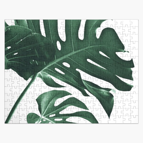 Artikel-Vorschau von Tropical Monstera Finesse # 1 #minimal #decor #art, designt und verkauft von Anita's & Bella's Art.