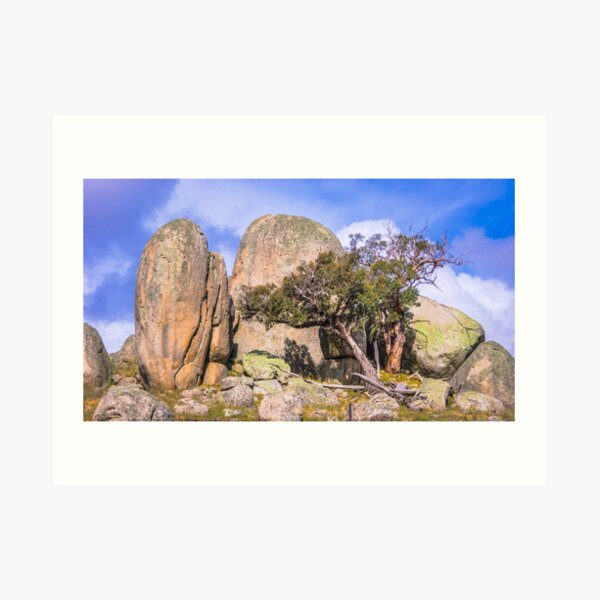 Stunted Growth Art Print