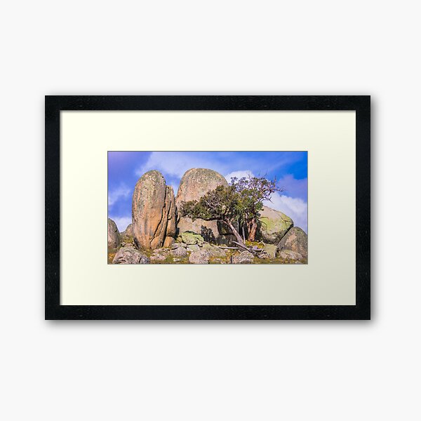 Stunted Growth Framed Art Print