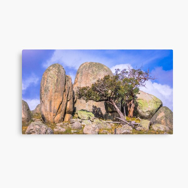 Stunted Growth Canvas Print