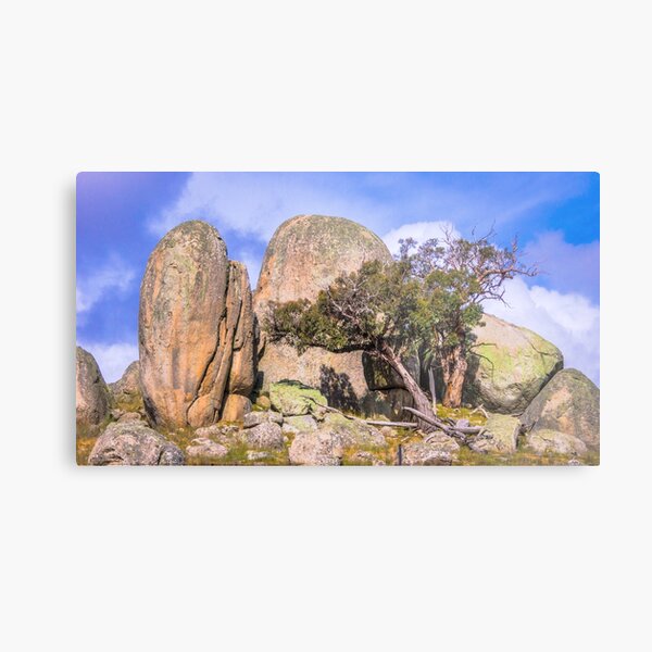 Stunted Growth Metal Print