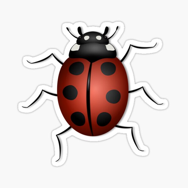 Lady Bug Sticker
