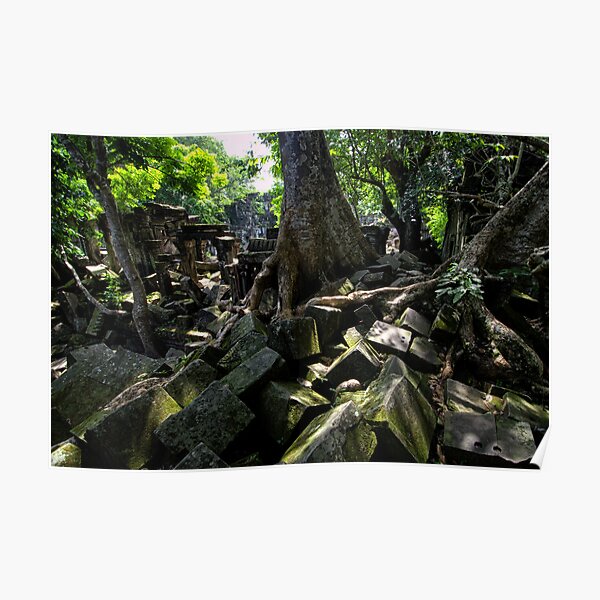 Ruins of Beng Mealea temple, Cambodia Poster