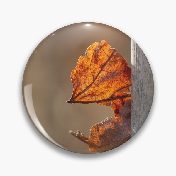 Item preview, Captured designed and sold by Tracy Friesen.