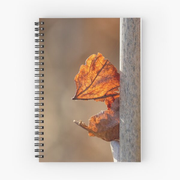 Item preview, Captured designed and sold by Tracy Friesen.