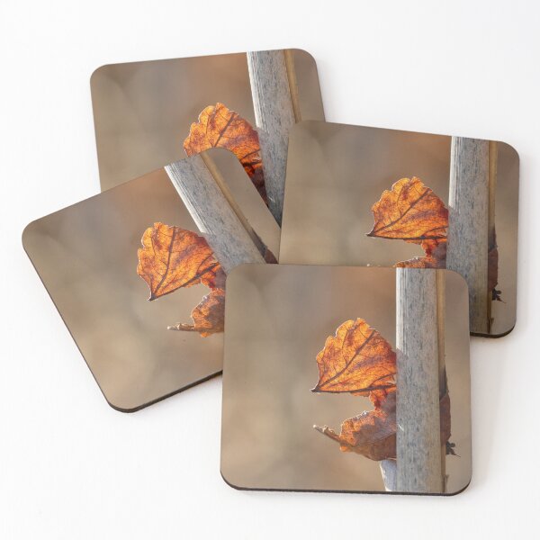 Item preview, Captured designed and sold by Tracy Friesen.
