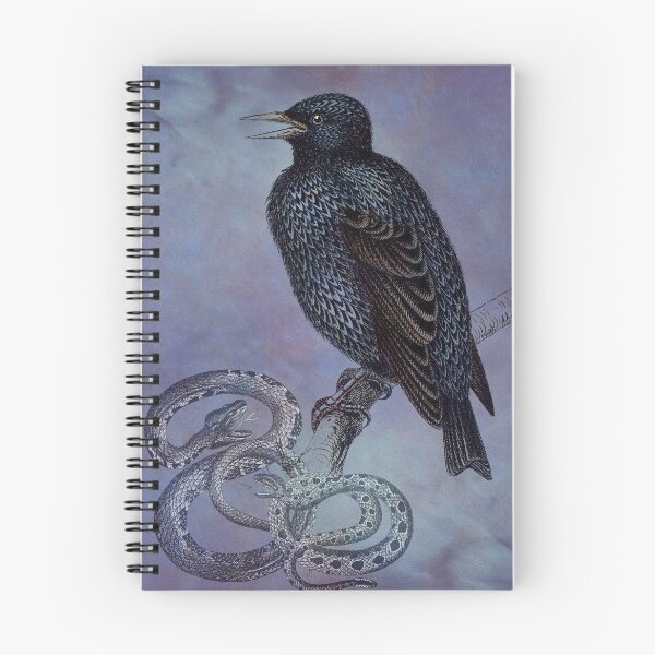 Item preview, DARK DAYS OF THE RAVEN designed and sold by Tammera.