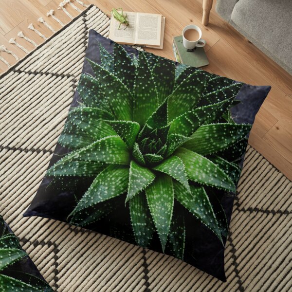 Succulent. Haworthia fasciata Floor Pillow