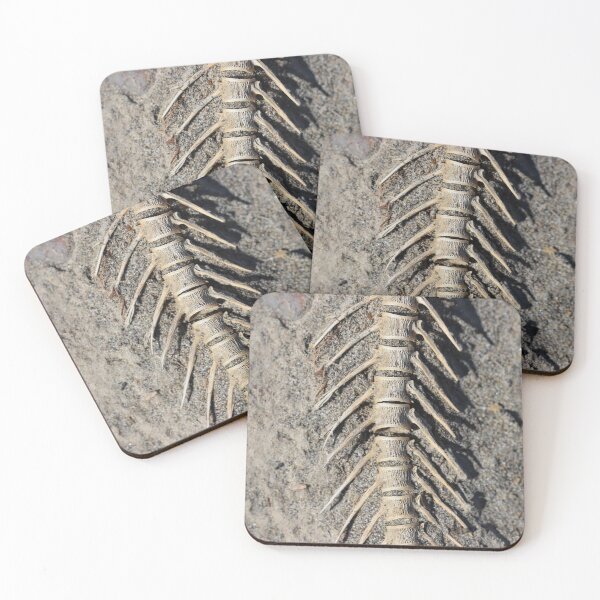 Item preview, What Remains designed and sold by Tracy Friesen.