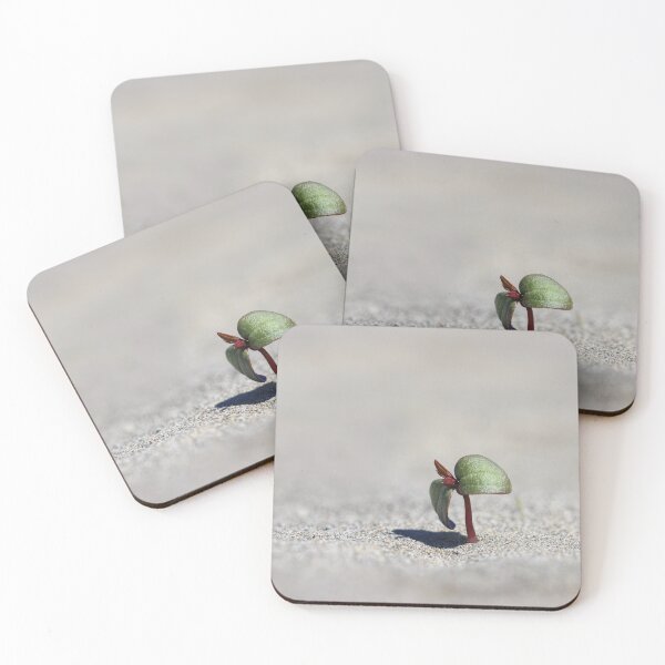 Item preview, Life Finds a Way designed and sold by Tracy Friesen.