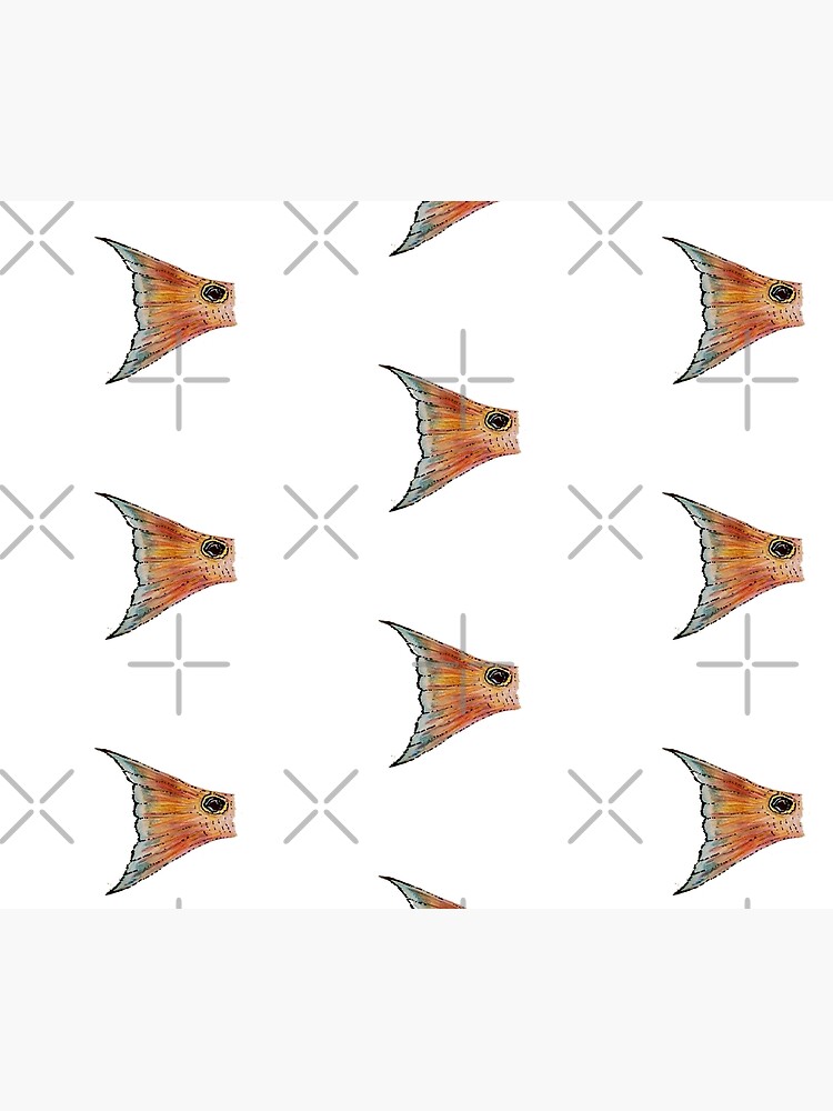 THE REDFISH TAIL by NINUNO