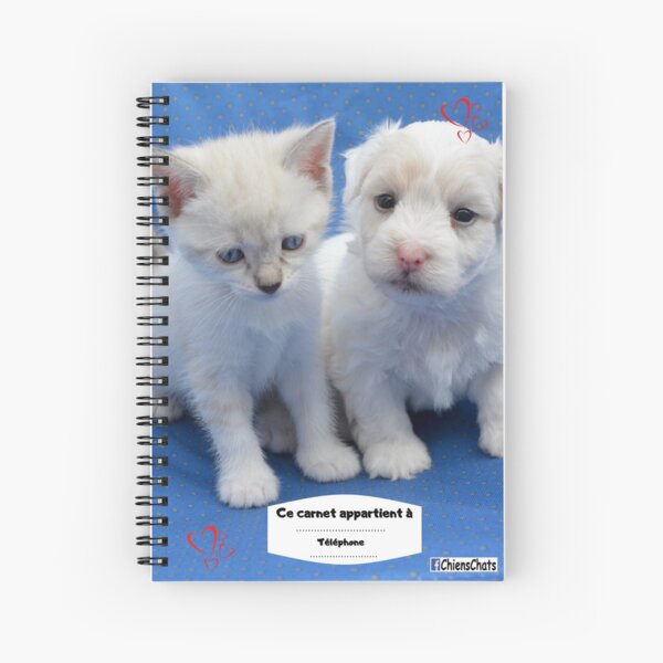 I illustrate notebooks and booklets Spiral Notebook