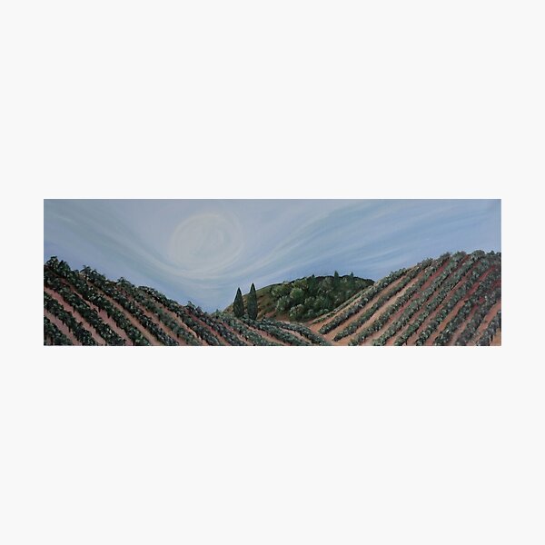 Whispers of Wine Photographic Print