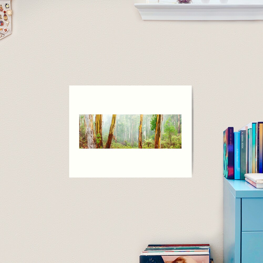 Foggy Forest, Otways National Park, Victoria, Australia Art Print