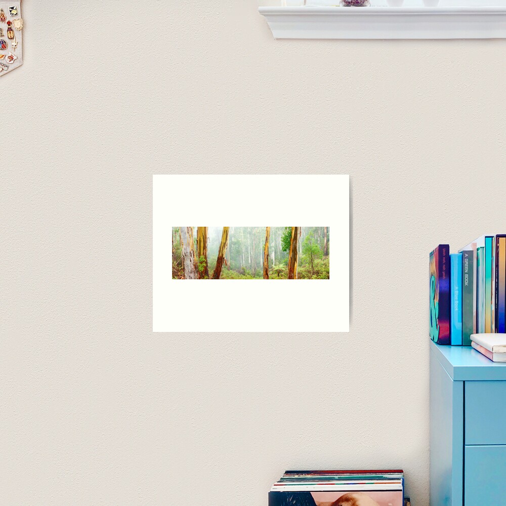 Foggy Forest, Otways National Park, Victoria, Australia Art Print