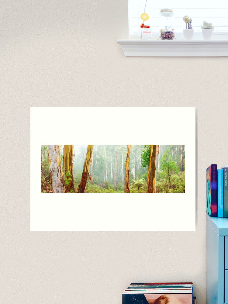 Thumbnail 1 of 3, Art Print, Foggy Forest, Otways National Park, Victoria, Australia designed and sold by Chockstone.