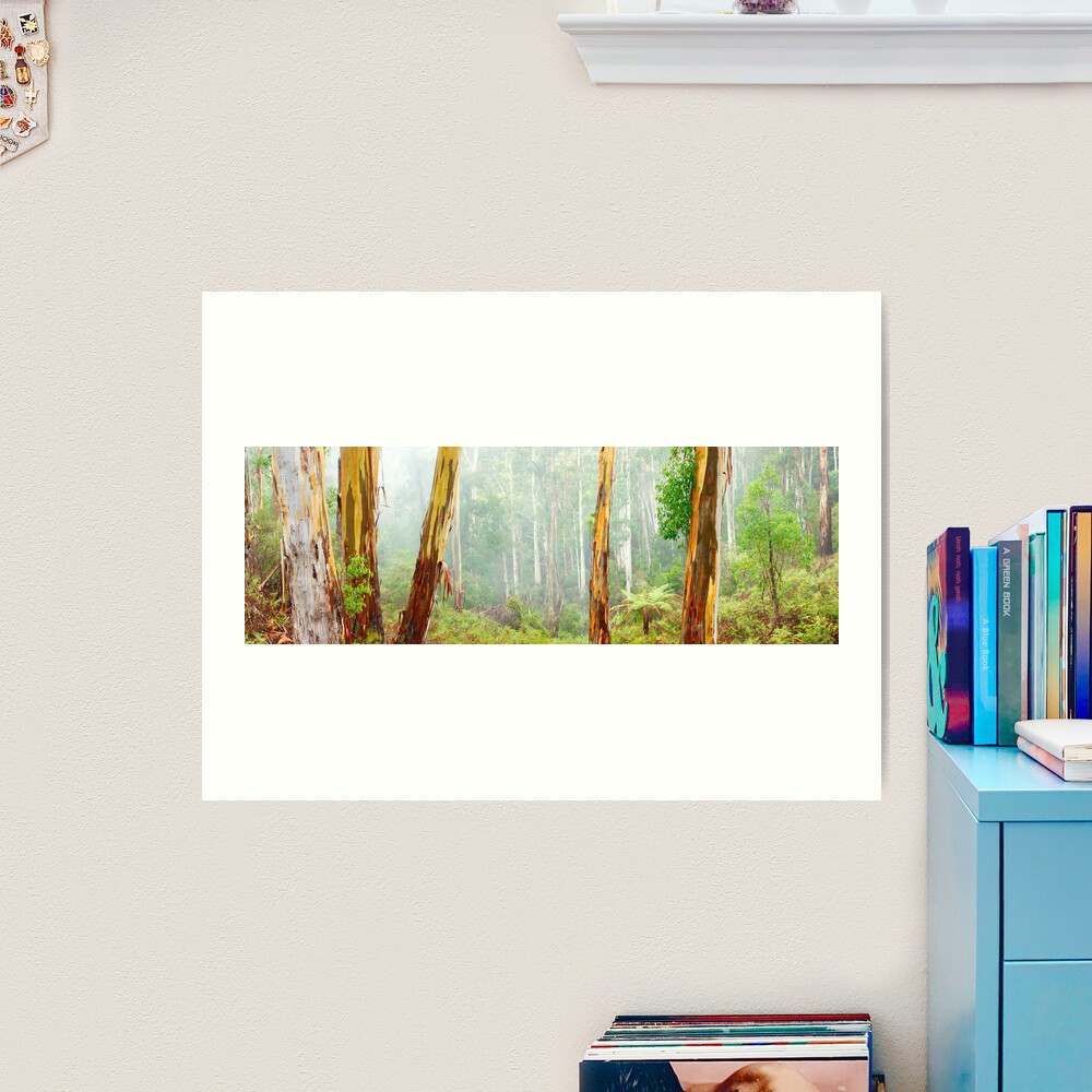 Foggy Forest, Otways National Park, Victoria, Australia Art Print