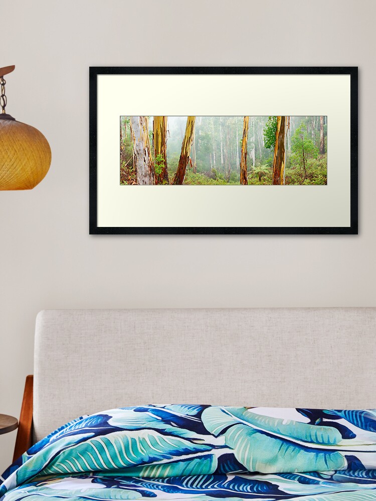 Thumbnail 1 of 7, Framed Art Print, Foggy Forest, Otways National Park, Victoria, Australia designed and sold by Chockstone.