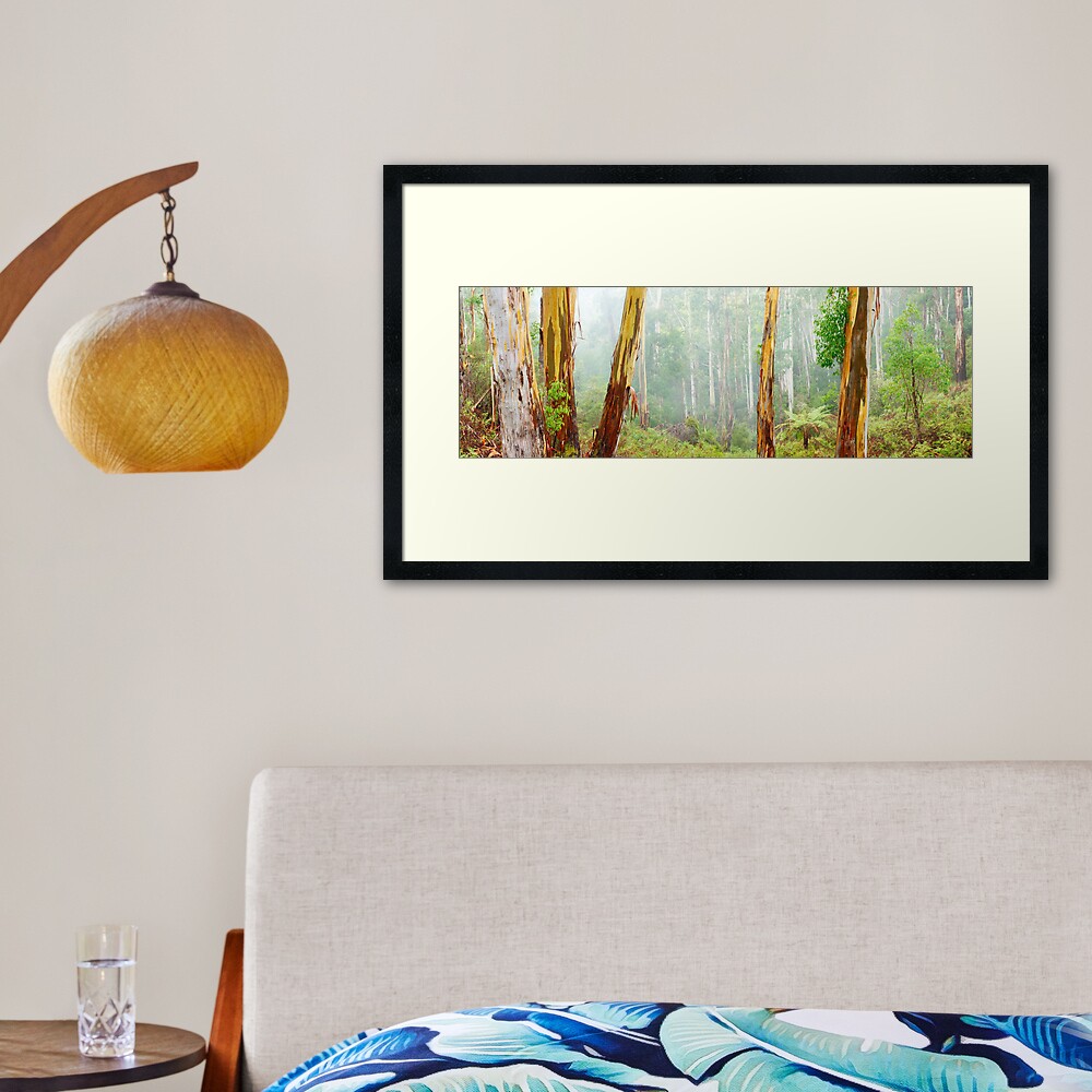 Foggy Forest, Otways National Park, Victoria, Australia Framed Art Print