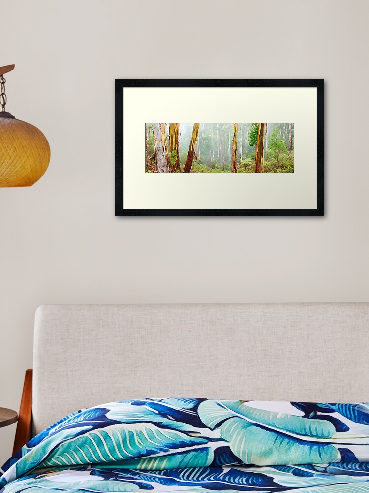 Thumbnail 1 of 7, Framed Art Print, Foggy Forest, Otways National Park, Victoria, Australia designed and sold by Chockstone.