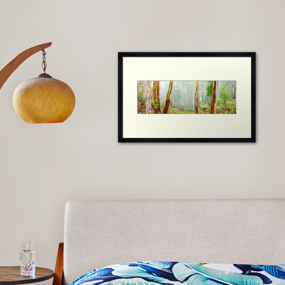 Foggy Forest, Otways National Park, Victoria, Australia Framed Art Print