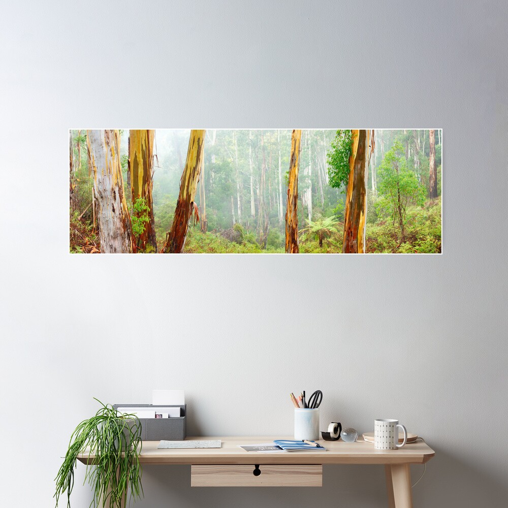 Foggy Forest, Otways National Park, Victoria, Australia Poster