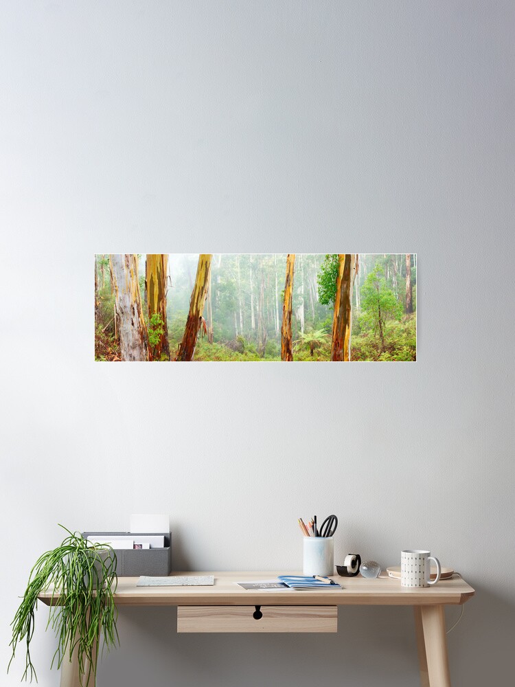 Thumbnail 1 of 3, Poster, Foggy Forest, Otways National Park, Victoria, Australia designed and sold by Chockstone.