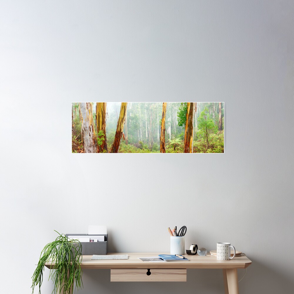 Foggy Forest, Otways National Park, Victoria, Australia Poster
