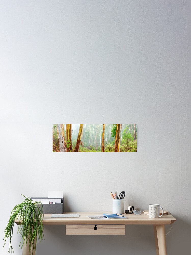 Thumbnail 2 of 3, Poster, Foggy Forest, Otways National Park, Victoria, Australia designed and sold by Chockstone.