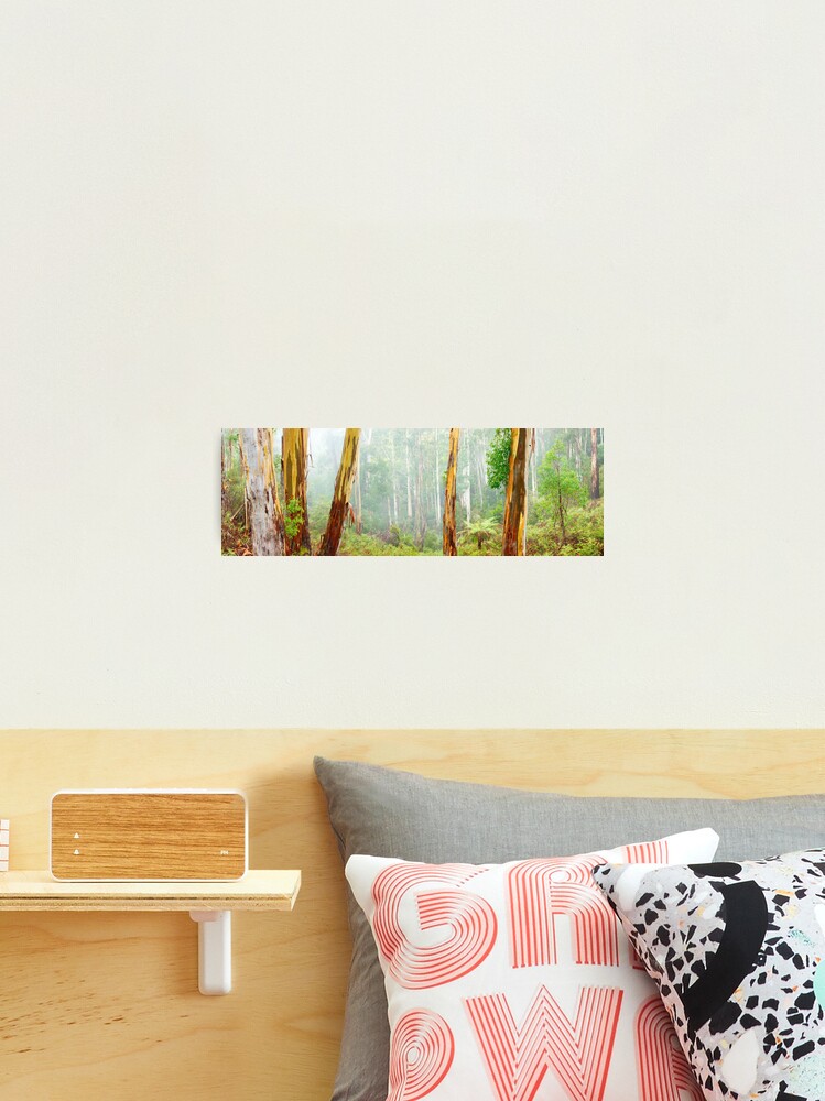 Thumbnail 1 of 3, Photographic Print, Foggy Forest, Otways National Park, Victoria, Australia designed and sold by Chockstone.