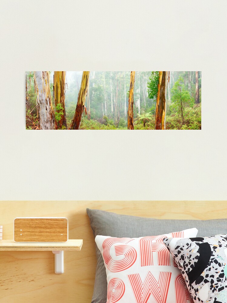 Thumbnail 1 of 3, Photographic Print, Foggy Forest, Otways National Park, Victoria, Australia designed and sold by Chockstone.