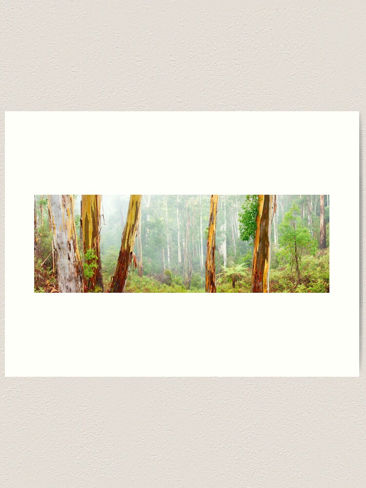Thumbnail 2 of 3, Art Print, Foggy Forest, Otways National Park, Victoria, Australia designed and sold by Chockstone.
