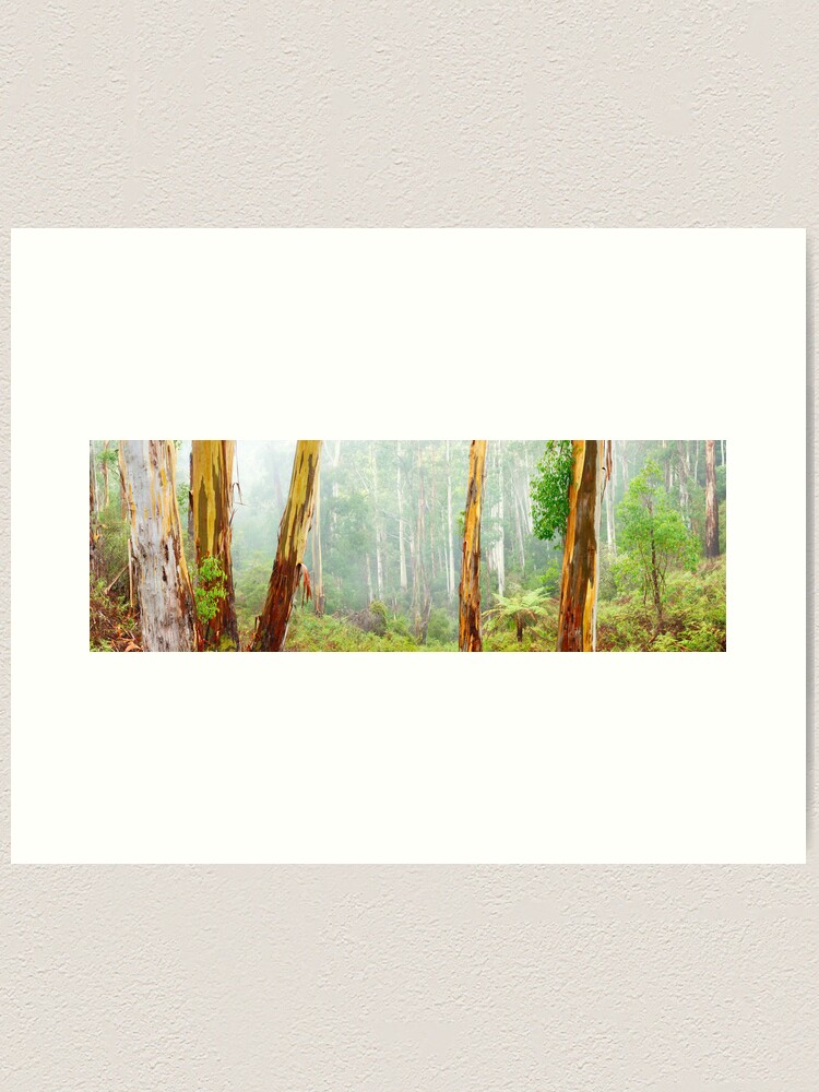 Thumbnail 2 of 3, Art Print, Foggy Forest, Otways National Park, Victoria, Australia designed and sold by Chockstone.