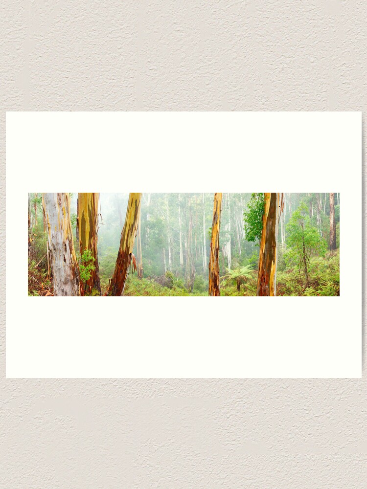 Thumbnail 1 of 3, Art Print, Foggy Forest, Otways National Park, Victoria, Australia designed and sold by Chockstone.