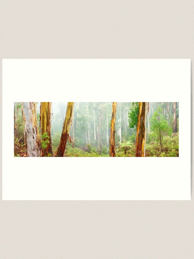 Thumbnail 2 of 3, Art Print, Foggy Forest, Otways National Park, Victoria, Australia designed and sold by Chockstone.