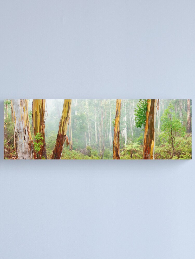 Thumbnail 2 of 3, Canvas Print, Foggy Forest, Otways National Park, Victoria, Australia designed and sold by Chockstone.